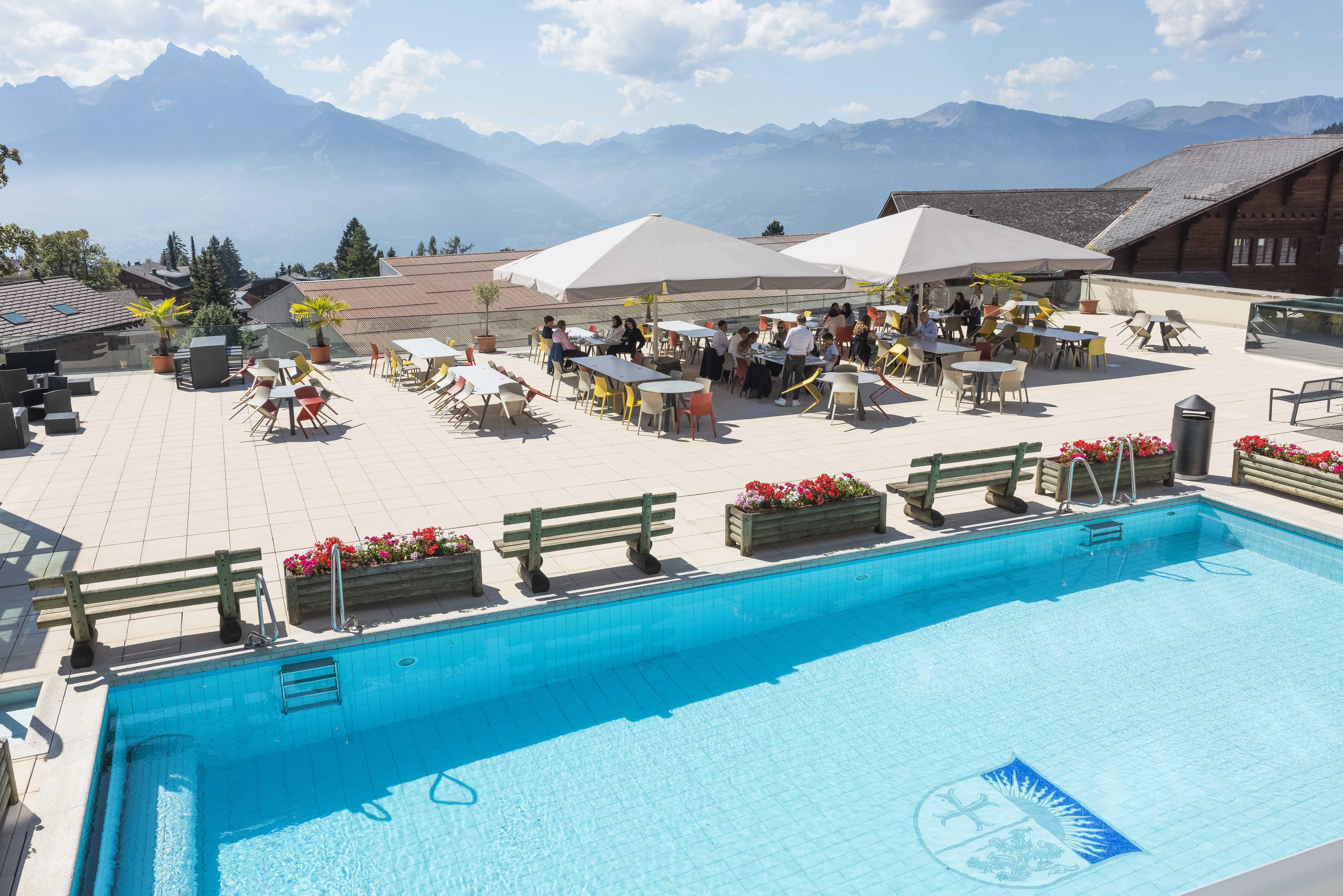  OptimizedImage,Optimized