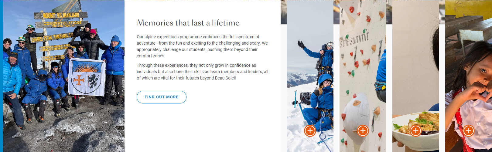 OptimizedImage,Optimized