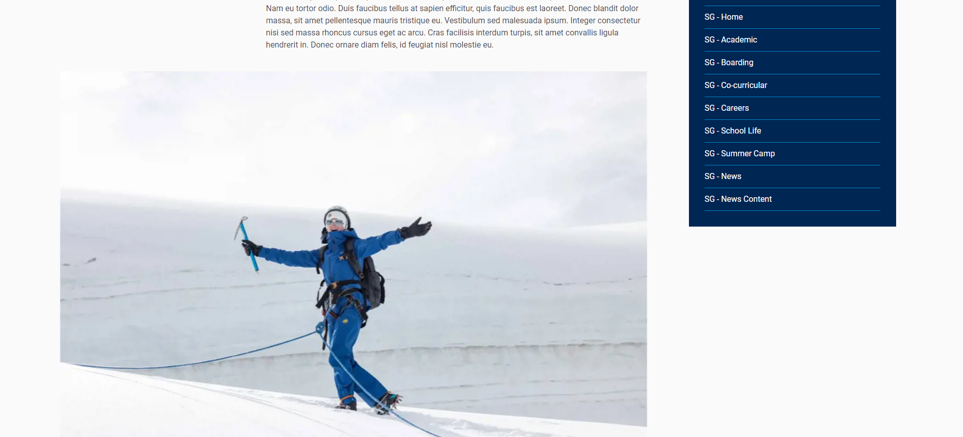 OptimizedImage,Optimized